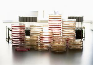 つくばで婦人科をお探しの方必見！2025年最新の診療内容と選び方を徹底解説